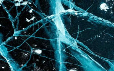 Sound and the Vagus Nerve: Science, Practices, and Tools for Nervous System Balance